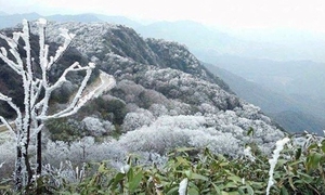 Miền Bắc rét dưới 7 độ, miền Trung nhiệt giảm sâu