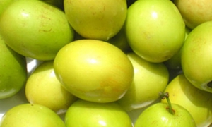 Táo ta có tác dụng gì?