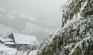 Xuất hiện băng tuyết ở đỉnh Mẫu Sơn, nhiệt giảm còn 0 độ C