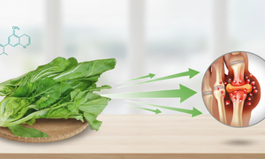 Tại sao rau cải bẹ xanh là thực phẩm hàng đầu giúp đào thải axit uric cho người bệnh gút?