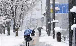 Tuyết rơi kỷ lục ở Nhật Bản gây tê liệt giao thông, ít nhất 4 người tử vong