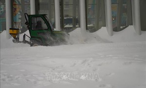 Bão tuyết lịch sử tại Mỹ: Cú sốc toàn diện từ kinh tế đến hạ tầng