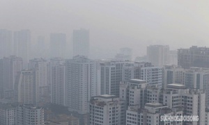 Sương mù đậm đặc ảnh hưởng đến đời sống và sức khỏe thế nào?