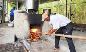 Về đất Quảng xem nấu đường thủ công, nhớ vị Tết xưa