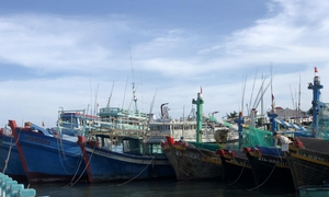 Hai tàu cá ở Lâm Đồng bị xử phạt 154 triệu đồng