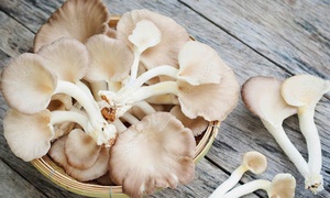 4 nguồn thực phẩm bù đắp lượng vitamin D bị thiếu hụt trong mùa đông