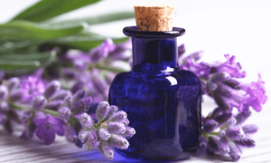 6 cách đơn giản giúp giảm lo âu, căng thẳng