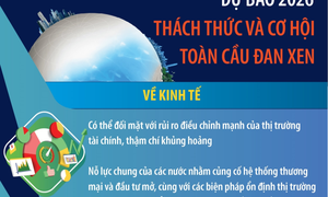 Dự báo 2026: Thách thức và cơ hội đan xen