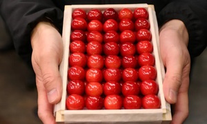 'Vua của các loài cherry Nhật Bản' gây sốt với giá kỷ lục