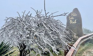 Miền Bắc bước vào đợt rét đậm, rét hại kéo dài