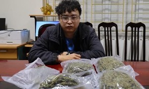 Phát hiện hơn 1 kg cần sa trong đơn hàng giao qua xe ôm ở Hà Nội