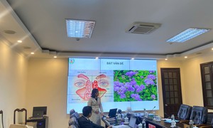 Nghiệm thu thành công đề tài nghiên cứu dung dịch hỗ trợ điều trị viêm mũi xoang từ cây ngũ sắc