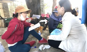 Có thay đổi mức đóng BHXH tự nguyện trong năm 2026 không?