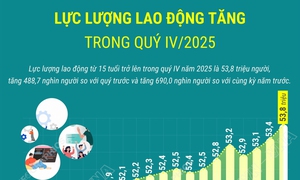 Lực lượng lao động tăng trong quý IV/2025