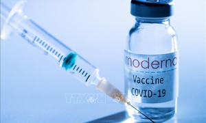 Bayer kiện các 'ông lớn' vaccine ngừa COVID-19 về bằng sáng chế