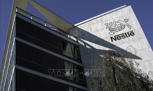 Thêm nhiều nước thu hồi sản phẩm sữa công thức của Nestle