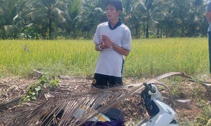 Bắt thanh niên trộm xe máy rồi giấu ở bờ ruộng