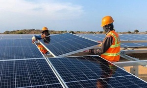 Năng lượng Nam Phương bị báo cáo vi phạm trái phiếu