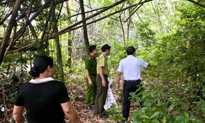 Trăn gấm 11,5kg được giải cứu, thả về rừng
