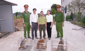 Nhiều người dân Hải Phòng bắt được cá thể khỉ quý hiếm đi lạc