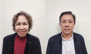 Sắp xét xử nữ đại gia Chu Thị Thành tham ô 79 tỷ đồng