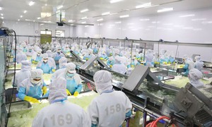 Công ty Cổ phần Thực phẩm G.C bị phạt 425 triệu đồng