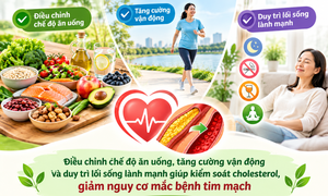 Mách bạn cách giúp giảm cholesterol tự nhiên, bảo vệ sức khỏe tim mạch