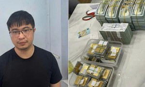 Hôm nay, xét xử Mr Pips, Shark Bình tại 3 điểm cầu