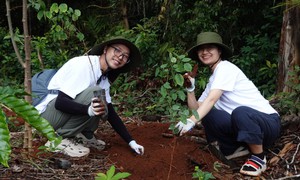 Quản trị rủi ro an ninh môi trường, kiểm soát nguy cơ ảnh hưởng sức khỏe