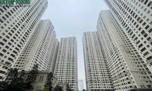 Hà Nội chốt phương án, dự kiến phá dỡ 3.900 căn hộ liên quan Tập đoàn Mường Thanh