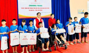 Ai được sử dụng biểu tượng Chữ thập đỏ và trong phạm vi nào?