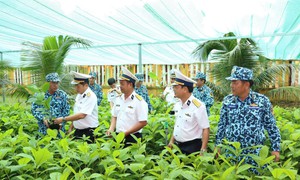 Thêm 4.000 cây giống để ‘xanh hóa Trường Sa’