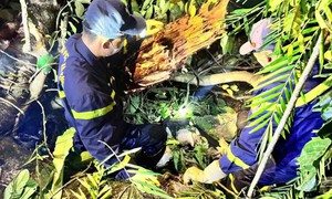 Tìm thấy thi thể người phụ nữ đi bắt ốc trên núi Quèn Trác