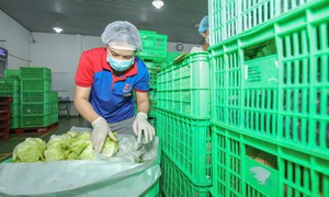 MM Mega Market Việt Nam phát triển bền vững chuỗi cung ứng nông sản an toàn