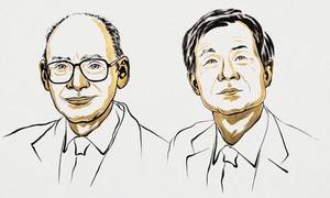 Lời giải cho bí ẩn về tính bất đối xứng đạt Nobel Hóa học 2026