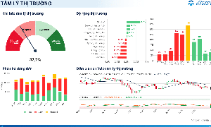 Xu hướng chứng khoán 9/10: Bất động sản, ngân hàng kéo VN-Index đi xuống