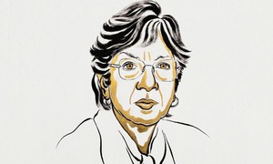 Thẩm phán Nam Phi Navi Pillay giành giải Nobel Hòa bình 2026