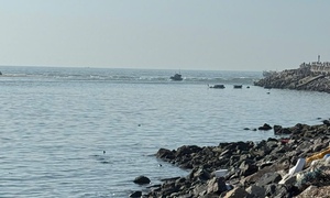 Tàu cá bị sóng đánh chìm, một ngư dân Lâm Đồng mất tích