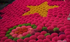 Sắc Tết rực rỡ tại làng hương Quảng Phú Cầu