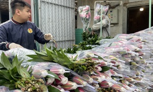 Cận Tết ở làng hoa Tây Tựu: Đơn hàng gấp 3-4 lần, người làm không kịp nghỉ