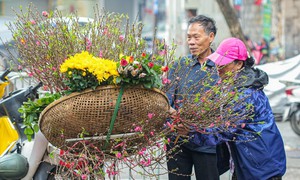 Cơ quan khí tượng: Dự báo thời tiết Tết Bính ngọ có nhiều điểm mới