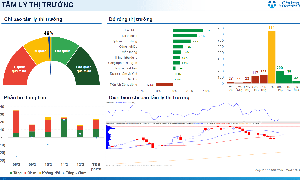 Xu hướng chứng khoán 13/2, tăng tỷ trọng cổ phiếu