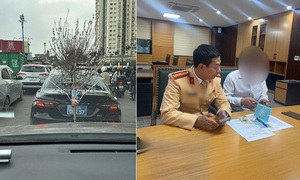 Buộc cành đào che biển số, tài xế xe ‘biển xanh’ bị phạt 23 triệu đồng