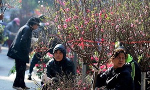 Miền Bắc tăng nhiệt, hửng nắng vào trưa chiều