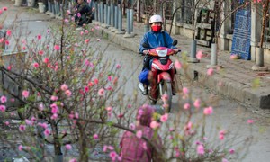 Các tỉnh thành phải chủ động ứng phó với thời tiết xấu dịp nghỉ Tết Nguyên đán 2026