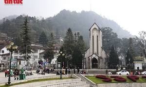 Sa Pa 'cháy phòng' dịp Tết Nguyên đán Bính Ngọ 2026