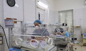 Trong dịp đoàn viên, những cuộc "chạy đua" vẫn tiếp diễn