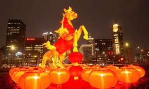 Năm Ngựa Lửa 2026: Không khí Tết rực đỏ và làn sóng di chuyển kỷ lục