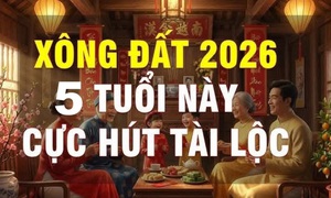 5 tuổi xông nhà, xông đất năm 2026 đẹp nhất giúp gia chủ may mắn, phát tài