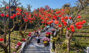 Miền Bắc rét đậm trong ngày mùng 2 và mùng 3 Tết Nguyên đán